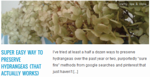 LINK super easy way to preserve hydrangeas {that actually works}