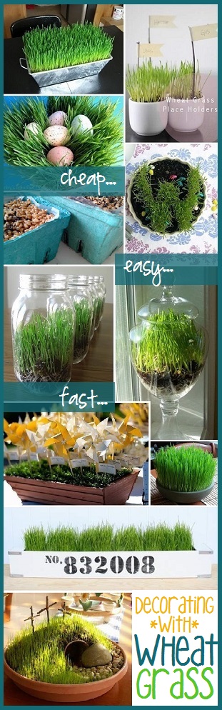 favorite ways to use and decorate with wheat grass